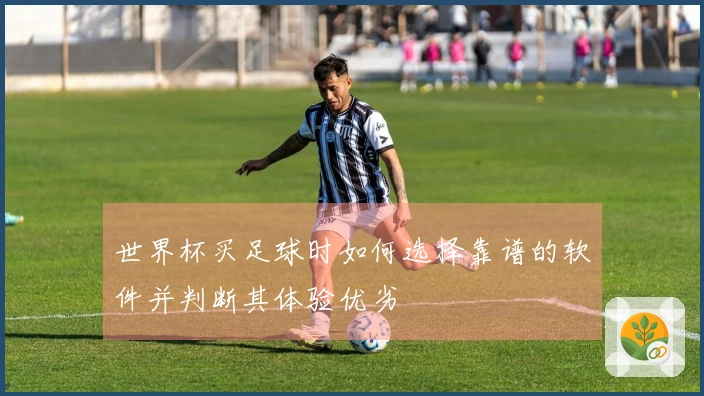 世界杯买足球时如何选择靠谱的软件并判断其体验优劣