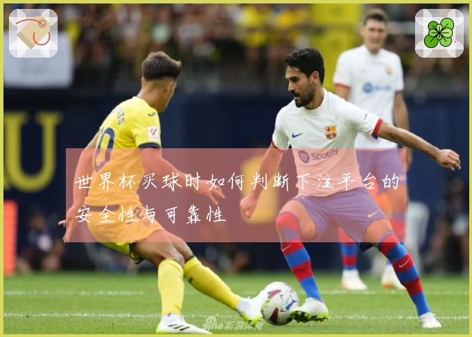 世界杯买球时如何判断下注平台的安全性与可靠性
