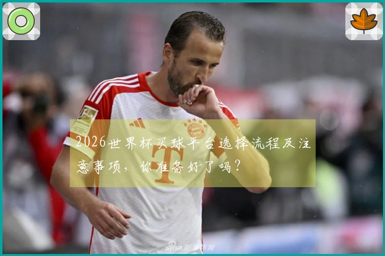 2026世界杯买球平台选择流程及注意事项，你准备好了吗？