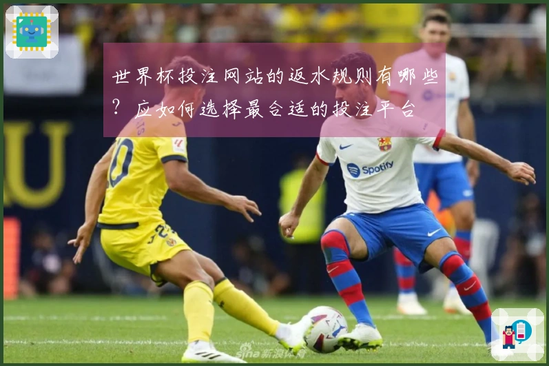 世界杯投注网站的返水规则有哪些？应如何选择最合适的投注平台