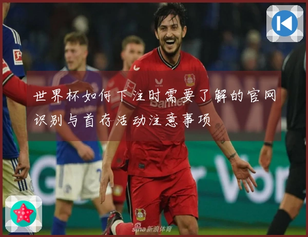 世界杯如何下注时需要了解的官网识别与首存活动注意事项