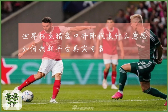 世界杯竞猜盘口升降代表什么意思如何判断平台真实可靠