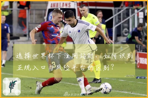 选择世界杯下注网站时，如何识别正规入口与风险平台的区别？