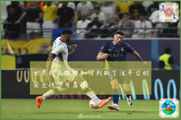 世界杯买球时如何判断下注平台的安全性与可靠性