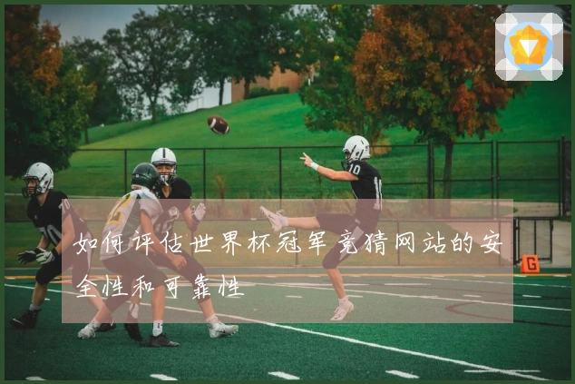 如何评估世界杯冠军竞猜网站的安全性和可靠性