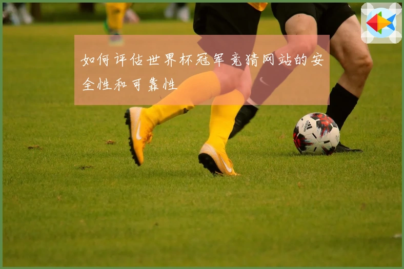 如何评估世界杯冠军竞猜网站的安全性和可靠性