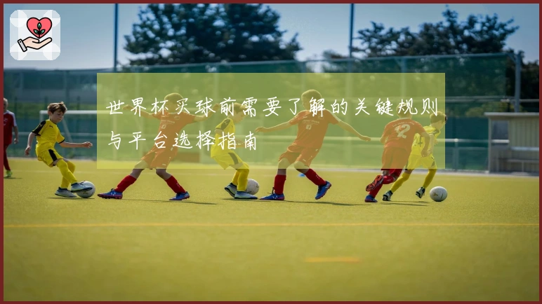 世界杯买球前需要了解的关键规则与平台选择指南