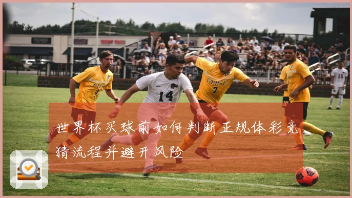 世界杯买球前如何判断正规体彩竞猜流程并避开风险