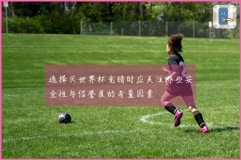 选择买世界杯竞猜时应关注哪些安全性与信誉度的考量因素