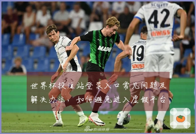 世界杯投注站登录入口常见问题及解决办法，如何避免进入虚假平台