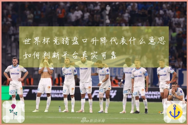 世界杯竞猜盘口升降代表什么意思如何判断平台真实可靠