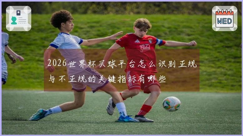2026世界杯买球平台怎么识别正规与不正规的关键指标有哪些