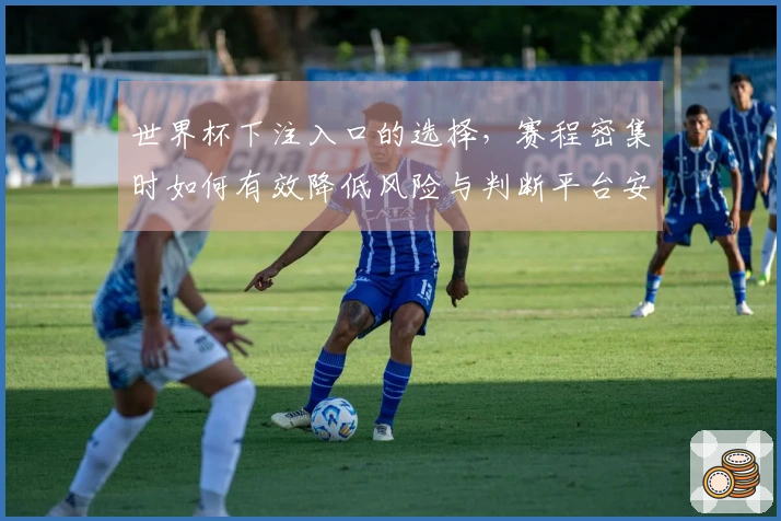 世界杯下注入口的选择，赛程密集时如何有效降低风险与判断平台安全性