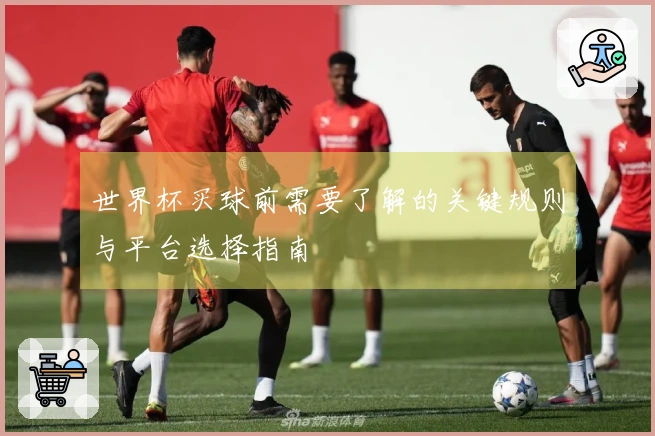 世界杯买球前需要了解的关键规则与平台选择指南