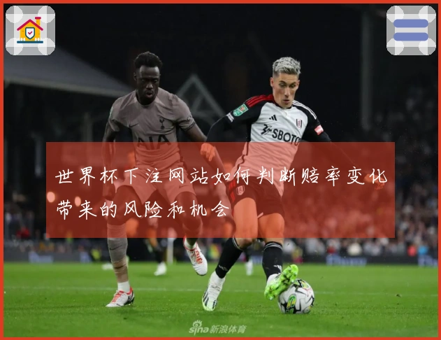 世界杯下注网站如何判断赔率变化带来的风险和机会