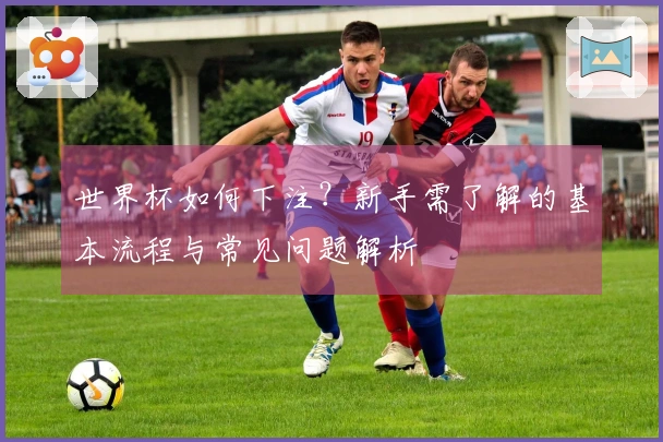 世界杯如何下注？新手需了解的基本流程与常见问题解析